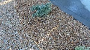 Apache Sunset Rock and Barkbrown Rock - YouTube