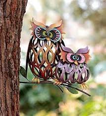 110 Two Hoots and owl ideas to save today | owlet, beautiful owl, hoot and more