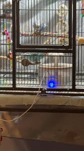 Splash town 🦜💦 : r/budgies