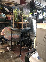 Bird Cages for sale in Oviedo, Florida | Facebook Marketplace