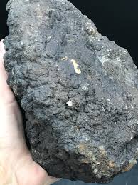 Sold at Auction: Coprolite, Fossil, Natural, Collectible, Polished