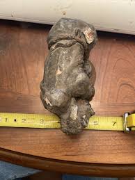 Raging Riding BULL Figurine Sculpture by Ben Henniger Bend TX NFR Branded | eBay