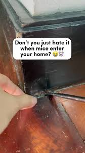 24pk Steel Wire Wool Pads Quality Grade 0 Fine For Rats Mice ...