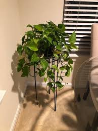 1f56f01e-4f78-5cd5-9fd9-70f132966f6e