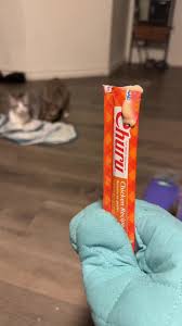 Cat Springs under Oven | TikTok