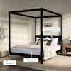 Walker Edison Furniture Company Minimalist Black Wood ...