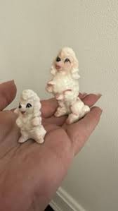 Miniature Apricot Poodle | eBay