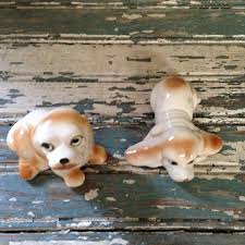 Two Adorable Little Wide Eyed Pups Floppy Ears and Sad Faces ...