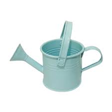 2pcs Small Galvanized Watering Can for Outdoor Indoor Mini ...