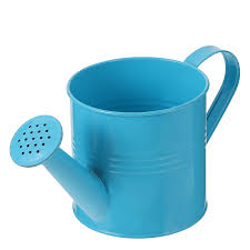 CATIEBYE Horticultural Watering Can for Home Gardening ...