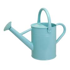 1 Gallon Metal Watering Can for Outdoor & Indoor Use ...
