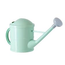 Small Mint Green Plastic Watering Can with Long Spout ...