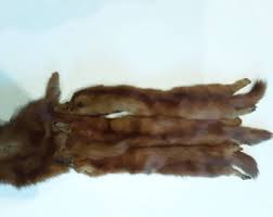 Red Mink Stole, Six Minks Manufactured in the 40's - Etsy