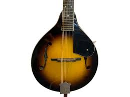 Jim's Music - Washburn Americana Series A-Style Mandolin