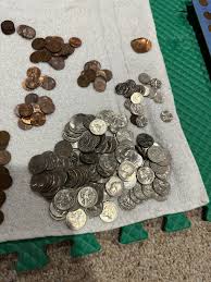 Just inherited all of this! What do i need to know/do ...