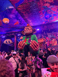 Shout out to the Elrow Chicago crew : r/aves