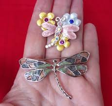 Buy 2 Vintage Dragon Fly Pins Brooches, 2 Retro Dragon Fly Pins With Blue Green Beige Enamel Work and Pastels, 2 Dragon Flies Online in India - Etsy