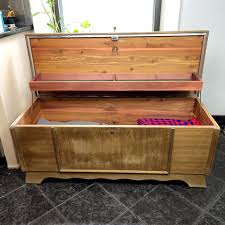 Vintage Lane Cedar Storage Chest W Hinged Shelf - AptDeco