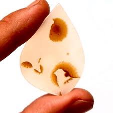 Certified 33.8 Cts Natural Scenic Agate W/ Bird Scenery AAA ...