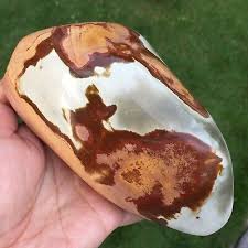 1041g Natural Energy Stone Sea Stone Ancient Rock Specimen ...