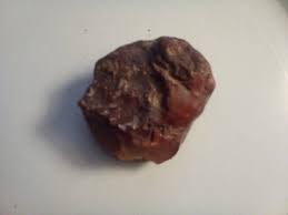 Natural Lapidary Cabbing Rough, Opalized Diatomite/Yadenite ...