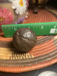 Arizona RockHounds | Facebook