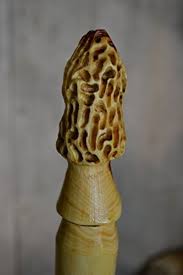 Morel Mushroom Walking Stick Mushroom Hunting Stick 60 In Cedar | Desertcart INDIA