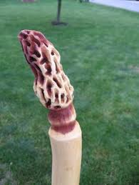 98 Walking Sticks or Canes and walking sticks ideas to save today | walking sticks and canes, canes & walking sticks, canes and walking sticks and more