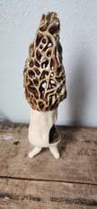 This is a morel mushroom luminary I made. I am so amazed it made it through because it was incredibly fragile prior to firing. Very pleased with this result! : r/Pottery