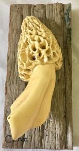 CAROL CLINE Vegetable Fruit Ceramic Art Sculpture on Vintage Barn Wood MUSHROOM | #1886789121
