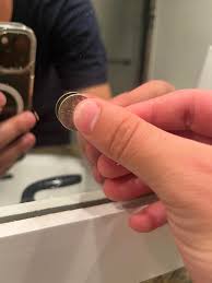 Fly(s) ID - San Diego : r/pestcontrol