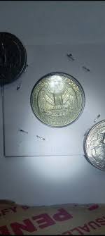 1995 Denver Washington Quarter DDR! Extremely Rare Green ...