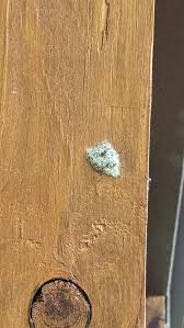 What are these eggs? Thinking moth eggs but too spiderwebby. These are on the ceiling of our porch. I live in Missouri if that narrows it down : r/whatsthisbug