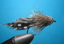 Morka Madler – Stara Planina