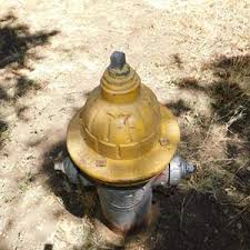 Lot 50 - Old School Fire Hydrant - from 1963 - Sac Valley Auctions