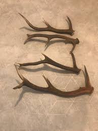 Scottish Deer Antler Singles - Etsy