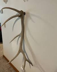 Antler Shed Hanger: CNC Cut Metal Display - Etsy