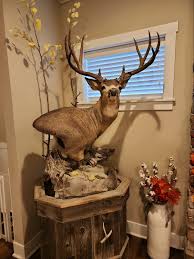 What are some cool pedestal mount ideas?
