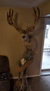 Ambush Big Game Research