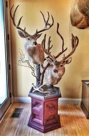 Diy double pedestal base for two of my biggest bucks - Taxidermy - CouesWhitetail.com Discussion forum