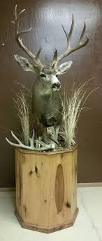 Authentic Taxidermy - Taxidermy in Chino Valley - Prescott, Arizona | Authentic Taxidermy