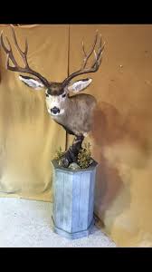 Cavanah Taxidermy | Molalla OR