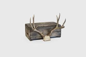 Sunbury Antlers - Sweet Salvage Rentals