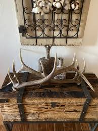 Cute Little 5x5 Set of Elk Sheds ~ Antlers ~ Craft Antler ...