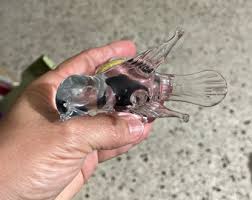 Vintage Arte Murano Icet Hecho Venezuela Hand-blown Art Glass Bird Gold Label - Etsy