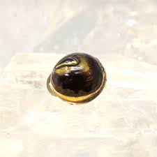 Vintage Handmade Murano Glass Clip Earrings, Black Rounds ...