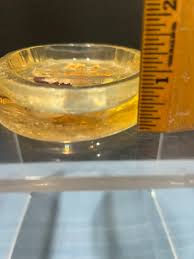 Vintage Resin Soap Dish With Dried Flowers and Leaves - Etsy