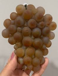 RARE - All Natural - Gobi Eye Agate Cluster Specimens - Pick Your Favorite! - Etsy