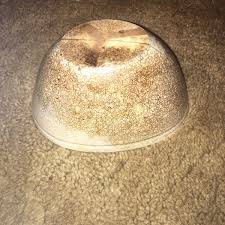 Corn On The Cob Bowl | eBay