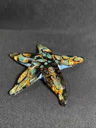Tide Pool Amber Barnacle Starfish – John Gibbons Glass